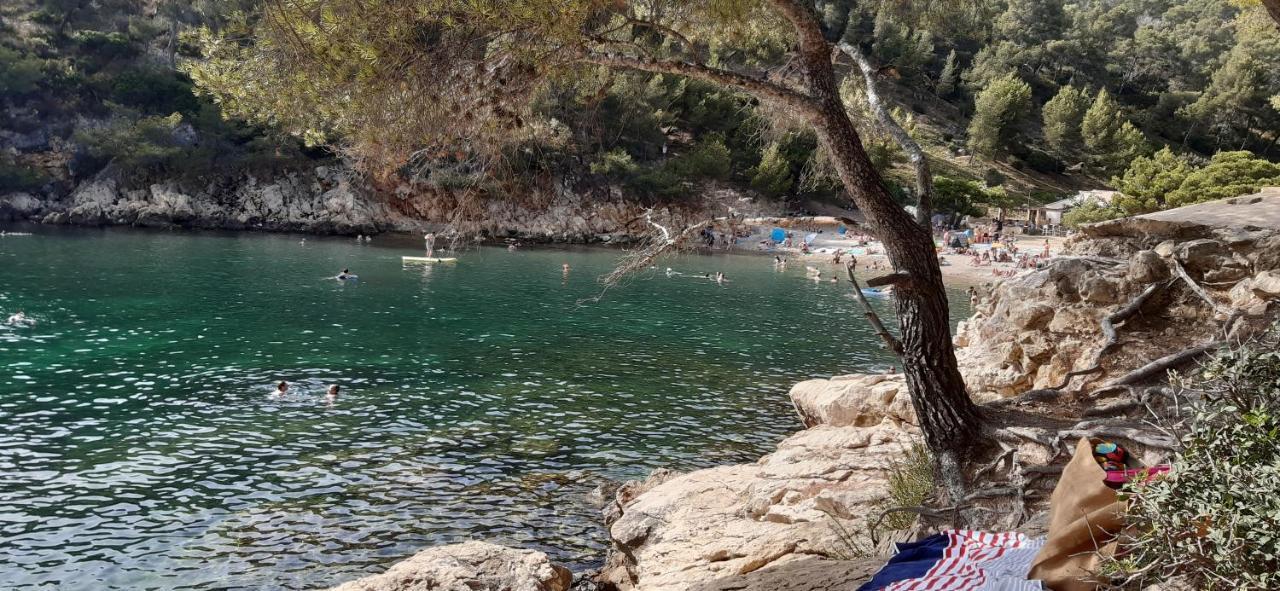 Petit Coin De Paradis Au Soleil Pres De La Mer Saint-Cyr-sur-Mer Dış mekan fotoğraf